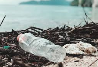 collecting bottles