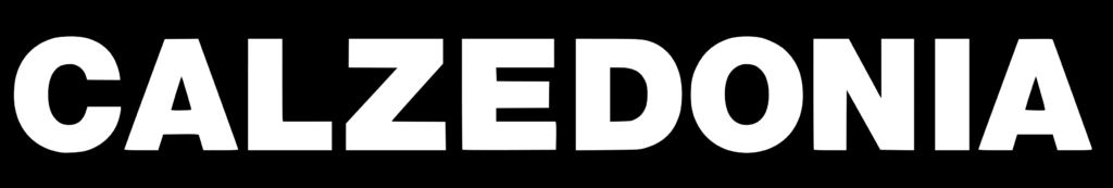 Calzedonia supplier