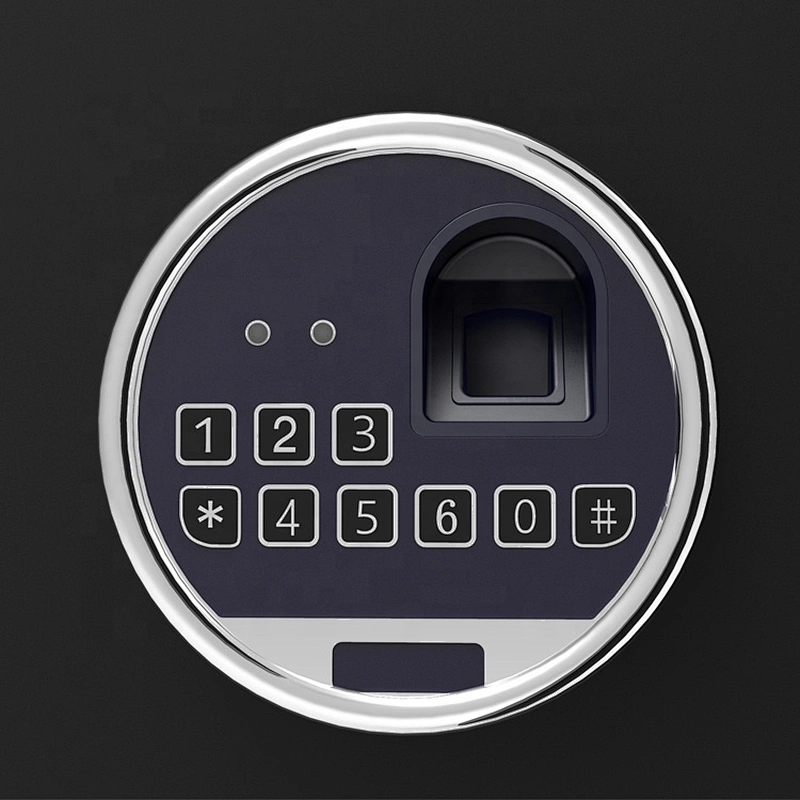 Drop shipping in the USA electronic 5 riffle safes fireproof gun fingerprint box biometric cabinet gun safe