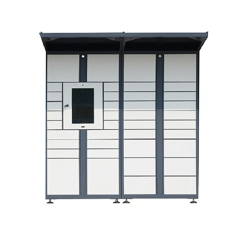 Hot-selling Luoyang Steel Customized Outstar System Delivery Parcel Electronic School Locker