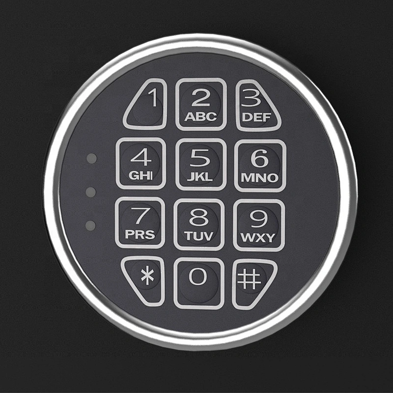 Drop shipping in the USA electronic 5 riffle safes fireproof gun fingerprint box biometric cabinet gun safe