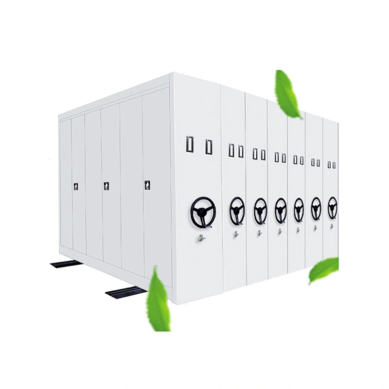 System Steel Plate Customized Office File Storage Cabinet/steel With Seperate Doors Movable Full Close Oem Cabinet Mass Shelf