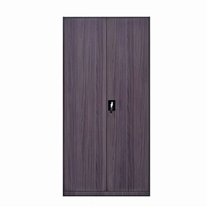 Modern simple 2 door office storage furniture steel transfer printing metal file cabinet with lock