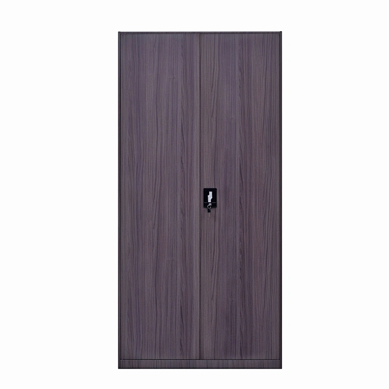 Modern simple 2 door office storage furniture steel transfer printing metal file cabinet with lock