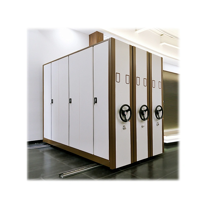 System Steel Plate Customized Office File Storage Cabinet/steel With Seperate Doors Movable Full Close Oem Cabinet Mass Shelf