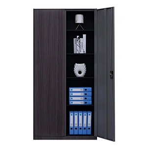 Modern simple 2 door office storage furniture steel transfer printing metal file cabinet with lock