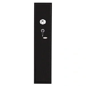 New design hot selling wall mounted gun cabinet electronic lock gun cabinet pistol storage