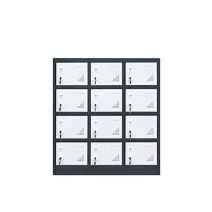 Low Staff Private Locker School Bag Shoe Storage Cabinet
