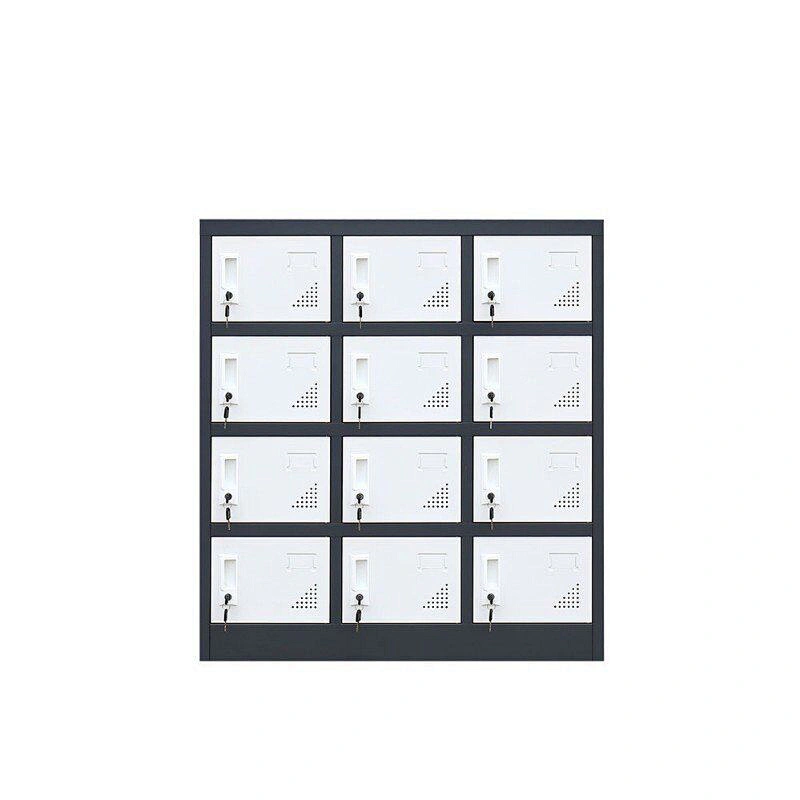 Low Staff Private Locker School Bag Shoe Storage Cabinet