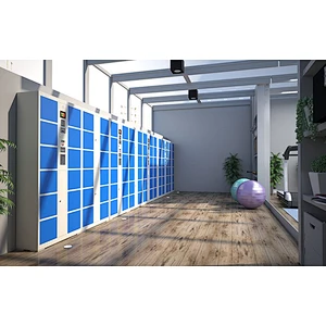 Color Gym Electronic Lockers Metal Steel Smart Storage automatic Locker