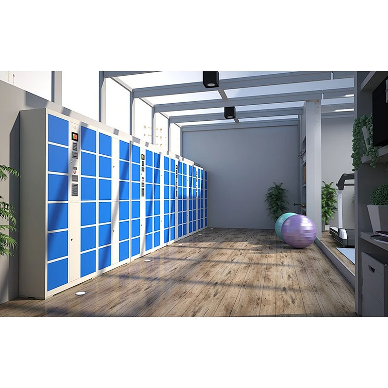 Color Gym Electronic Lockers Metal Steel Smart Storage automatic Locker