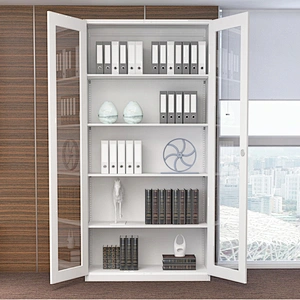 Office 2 Door Steel Cupboard Glass Door Metal File Filing Storage Cabinet