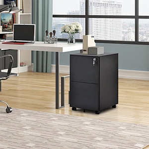 Ready to ship in the US office furniture 2 drawer mobile storage file cabinet