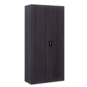 Modern simple 2 door office storage furniture steel transfer printing metal file cabinet with lock