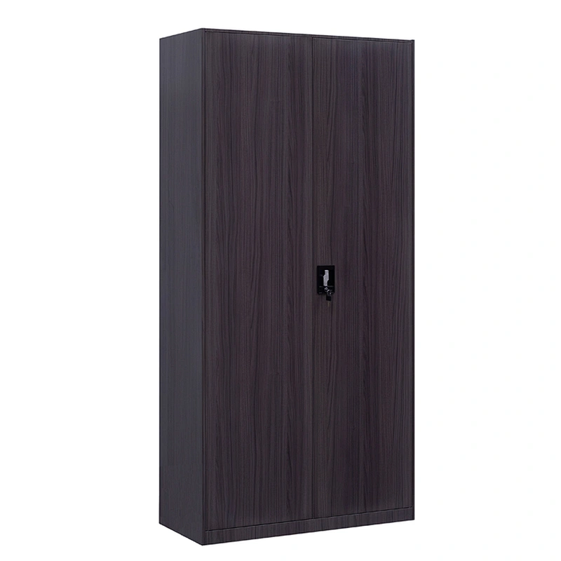 Modern simple 2 door office storage furniture steel transfer printing metal file cabinet with lock