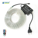 High Quality AC120V/AC220V IP65 Waterproof PVC Remote Control 60LED RGB 3000K-6000K SMD2835 LED High Voltage Patch Light Strip