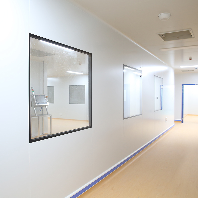 Customized Modular Window Double Glass Clean Room Windows