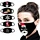 facemask reusable