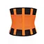 lumbar waist support