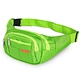 fashion fanny pack