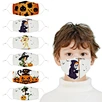 Mask With Face Shield