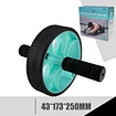 ab exercise wheel double wheel