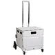 2 in 1 Trolley Bag Market Folding Shopping Trolley Cart with Wheels