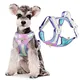 Petcozy Reflective Pet Leash                PetCozy Pet Supplies Collection