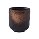 Japanese - Style Ceramic Cup