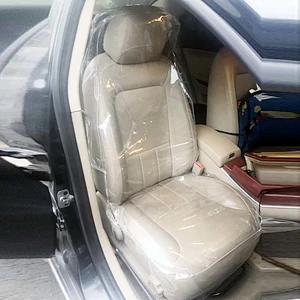 transparent seat cover