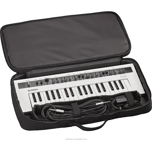 Musical lnstrument bag