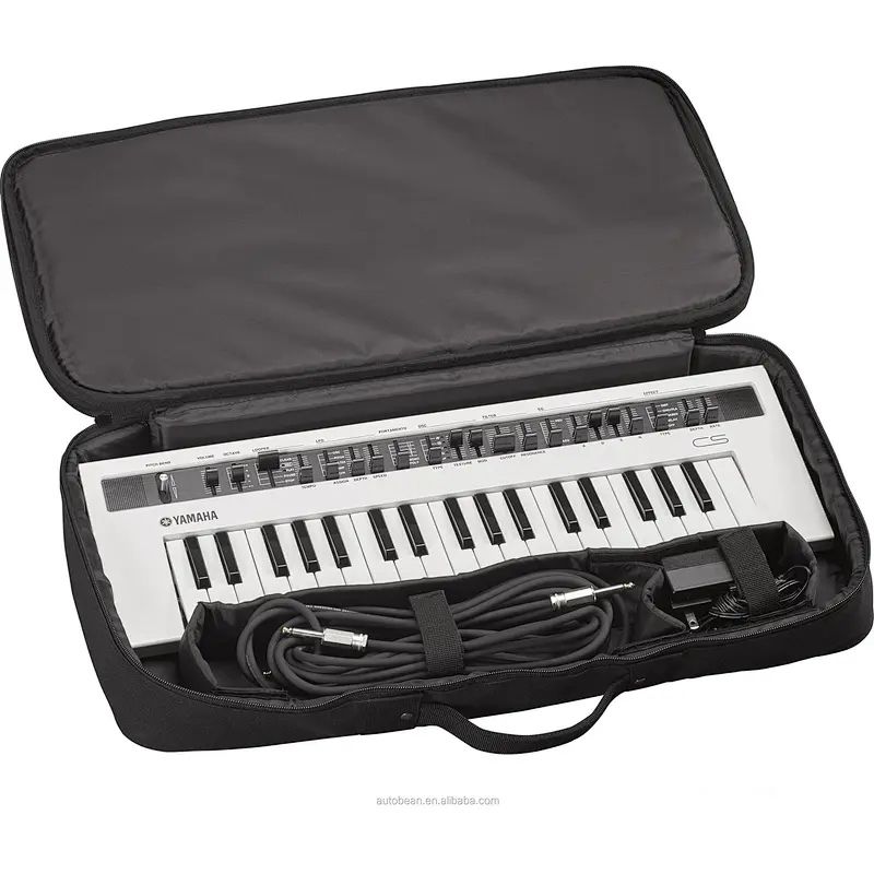 Musical lnstrument bag