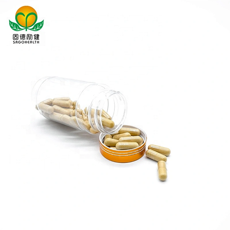 OEM GMP Factory Supply Cordyceps capsule