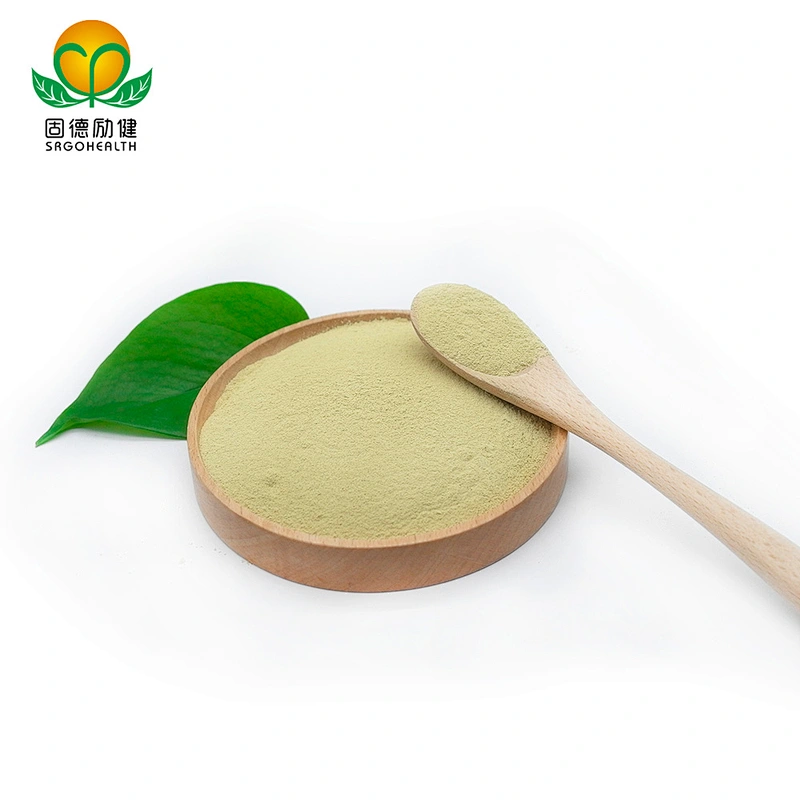 Factory Direct Supply Pure Sophora Japonica Extract Powder Rutin CAS NO 153-18-4