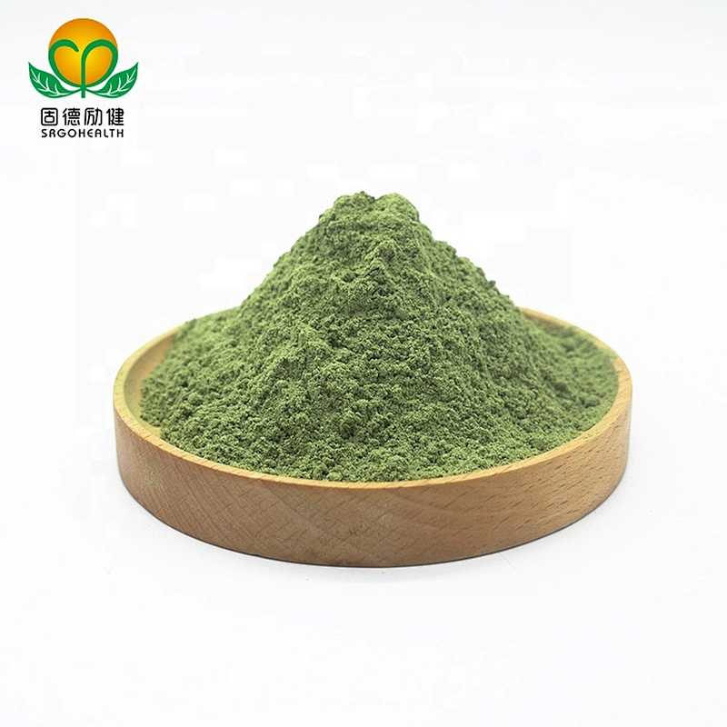 Vegan GMP Factory Supply Organic Matcha powder