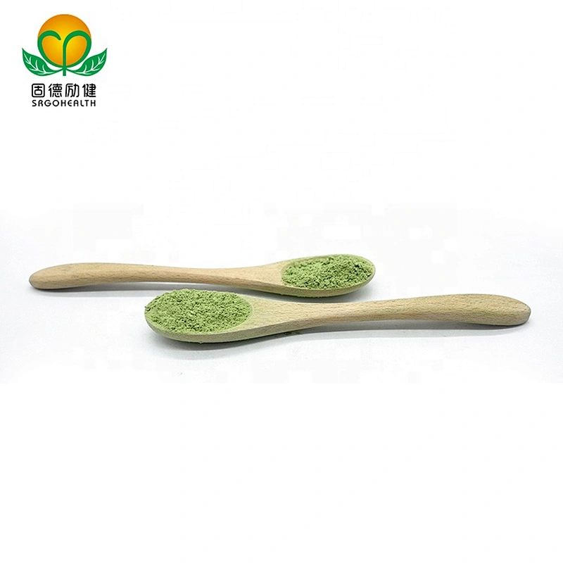 GMP Factory Supply Kale Powder