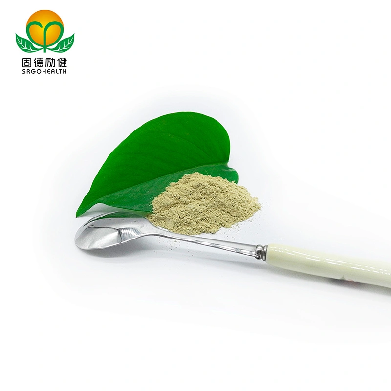 Factory Direct Supply Pure Sophora Japonica Extract Powder Rutin CAS NO 153-18-4