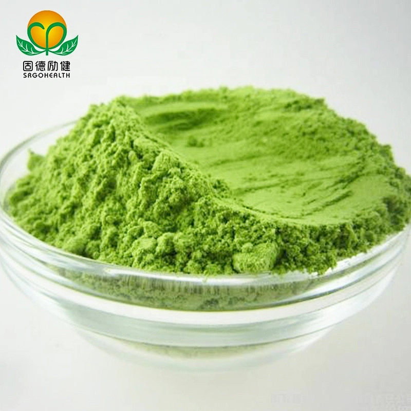Hot Selling Organic Barley Grass Powder