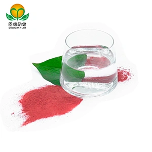 Lower Price Beet Root Powder