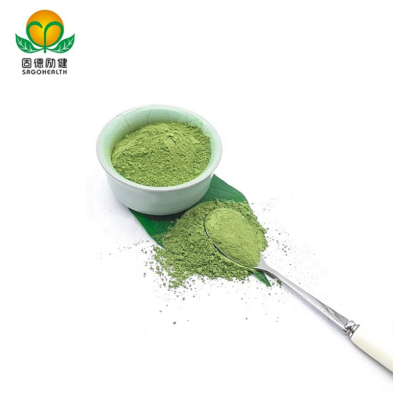 Vegan GMP Factory Supply Organic Spinach powder