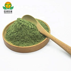 Vegan GMP Factory Supply Organic Matcha powder