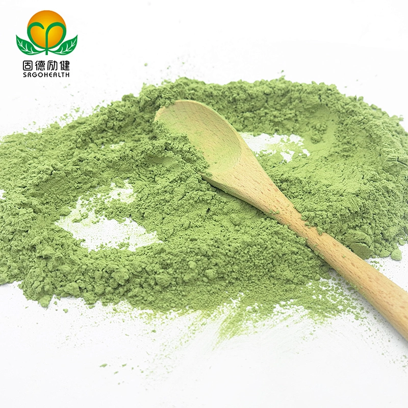 GMP Factory Supply  Wheat Grass Powder