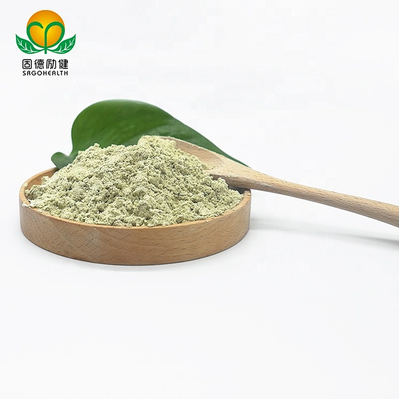 GMP Factory Vegan Hemp Protein Powder