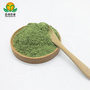 GMP Factory Supply Spinach powder