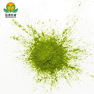 Competitive Price Conventional Matcha Powder