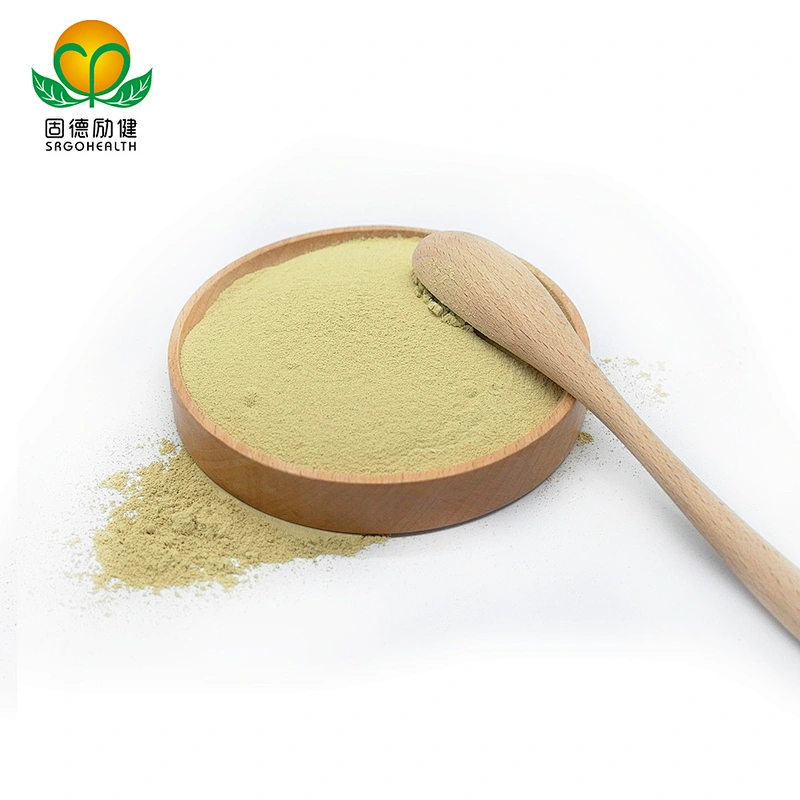 Hot Selling Competitive Price Pure Sophora Japonica Extract Rutin Powder