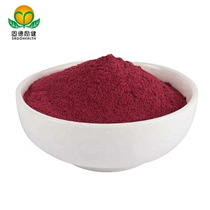 Vegan GMP Factory Supply Beet Root Powder
