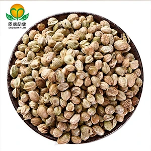 Hot Selling Natural Hemp seed