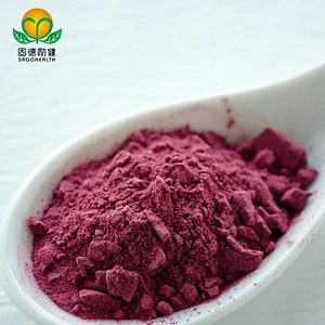 Manufacture Supply  Low Price Beet Root Powder