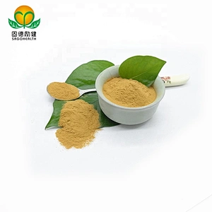Vegan Supplement GMP Certified Reishi Extract Powder Ganoderma Extract Powder